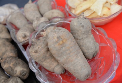 �_���������ɽ����ȫ���Ј�